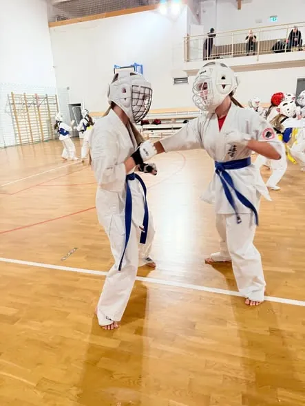 Sparing kumite na treningu